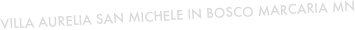 VILLA AURELIA SAN MICHELE IN BOSCO MARCARIA MN